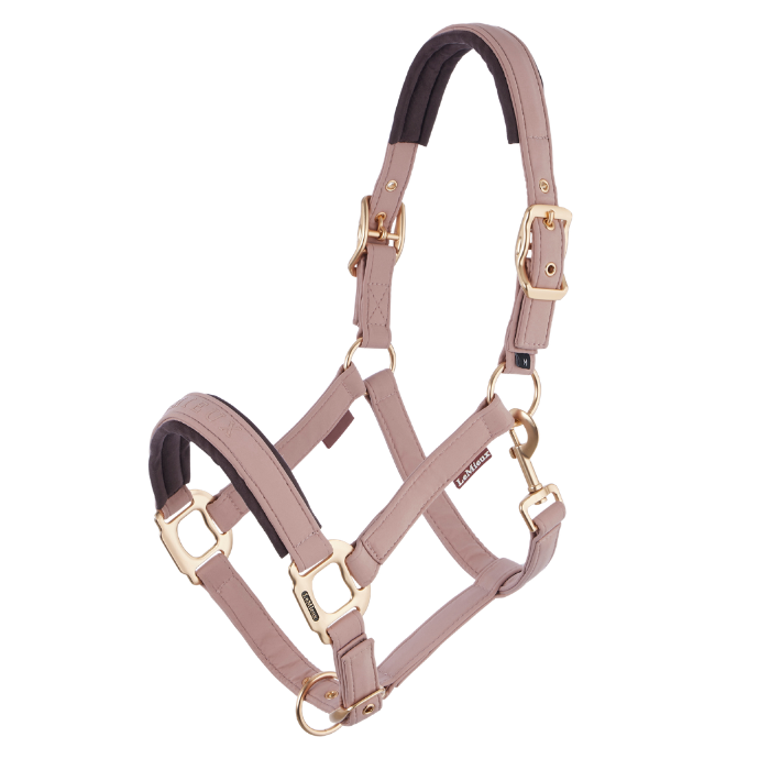 LeMieux AW26 Essence Headcollar Variant Colour Wild Rose.
A horse halter in dusty rose pink faux leather with gold-tone metal hardware and black padded under-ear and underbite padding, shown on a solid white background.