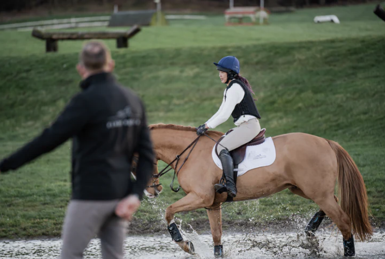 Finer Equine HelmetConnect