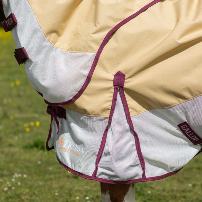 Horse wearing a beige and white fly sheet in a grassy field with trees in the background