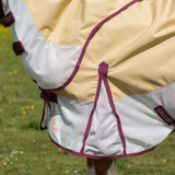 Horse wearing a beige and white fly sheet in a grassy field with trees in the background