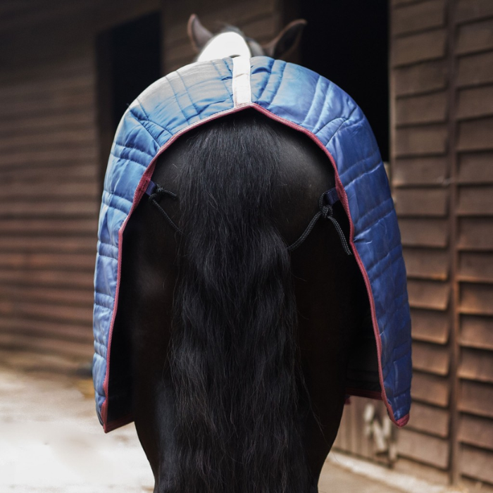 Horse with a blue quilted stable rug on a wooden stable background