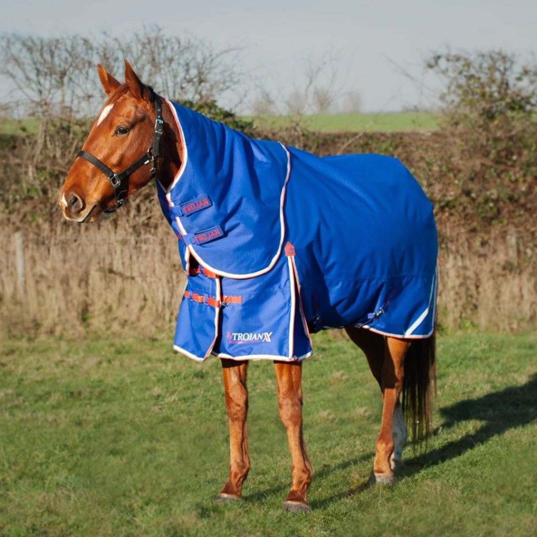 Gallop Trojan Xtra 200g Dual Turnout Rug & Neck in Royal/Red
