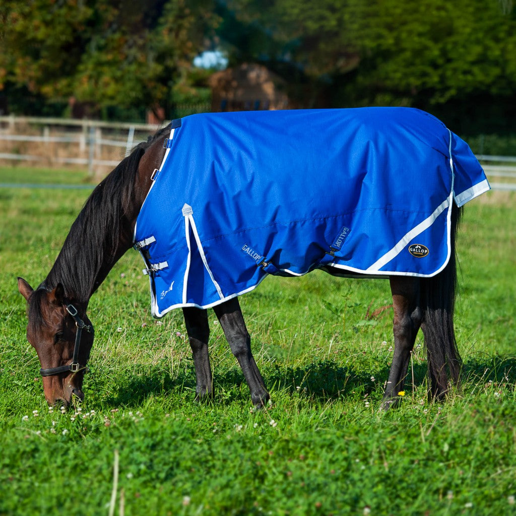 Gallop Trojan Xtra 300g Dual Turnout Rug & Neck