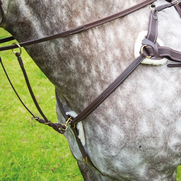 Shires Salisbury Five Point Breastplate Vairant Colour Havana.
A dapple grey horse wearing a brown martingale and breastplate with reins on grass background.