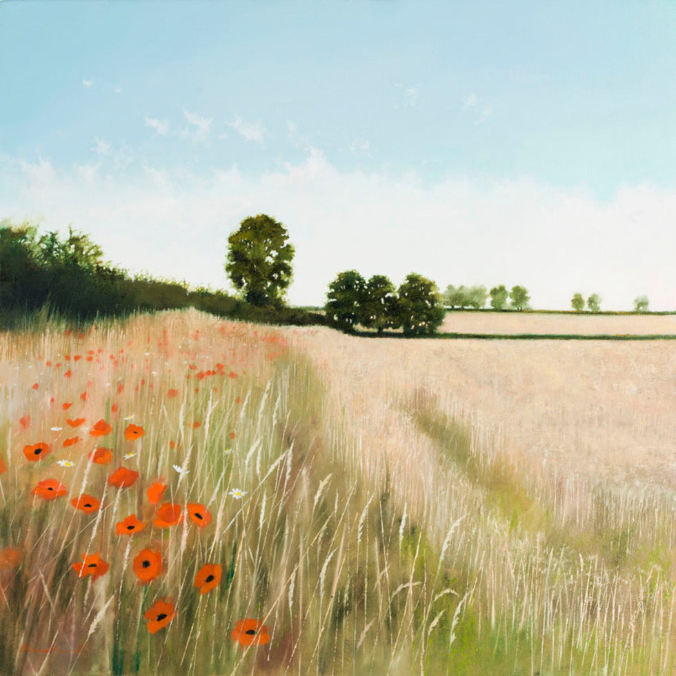 'Headland Poppies' Greetings Card By Heather Blanchard
