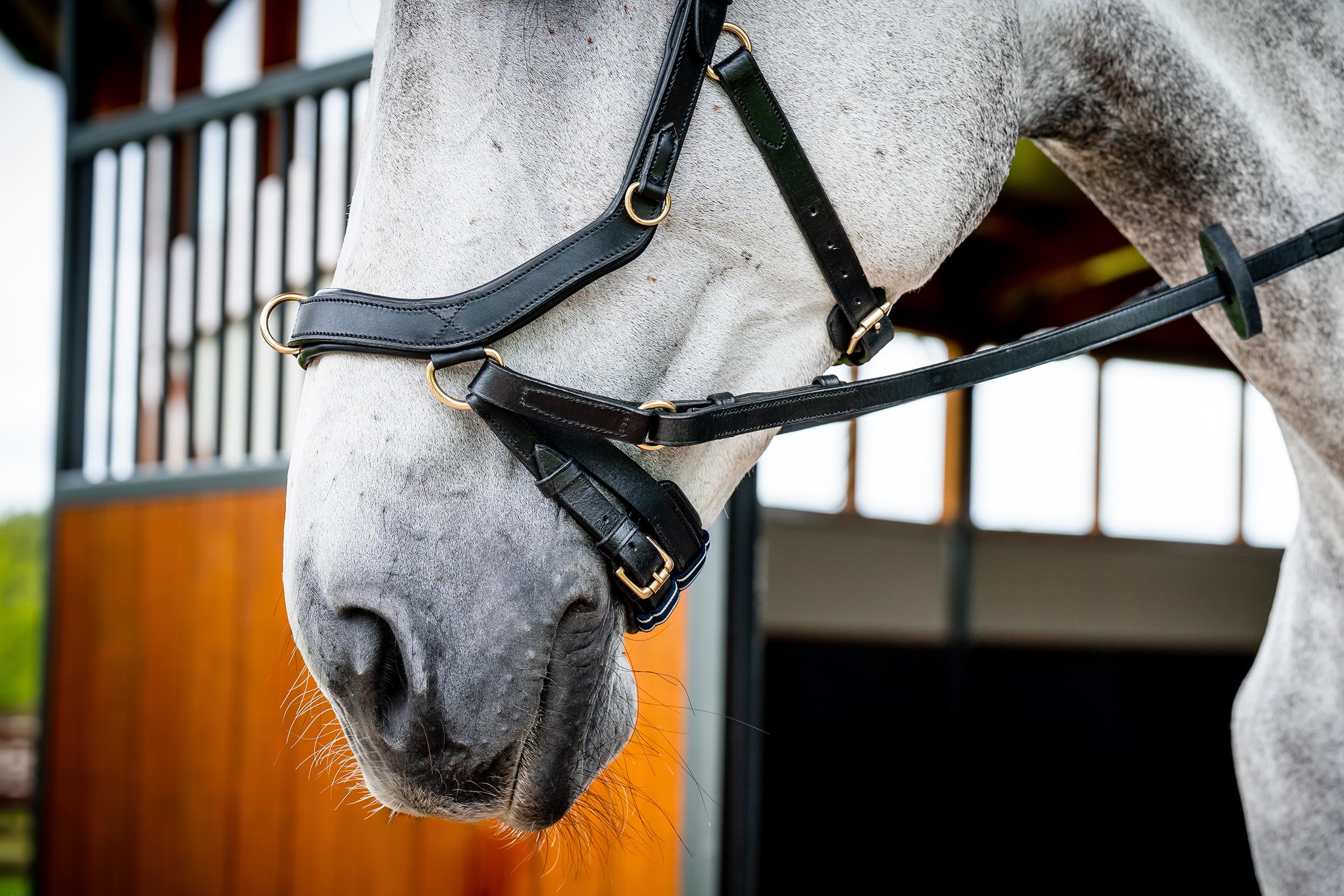 Horseware Micklem Multi Bridle