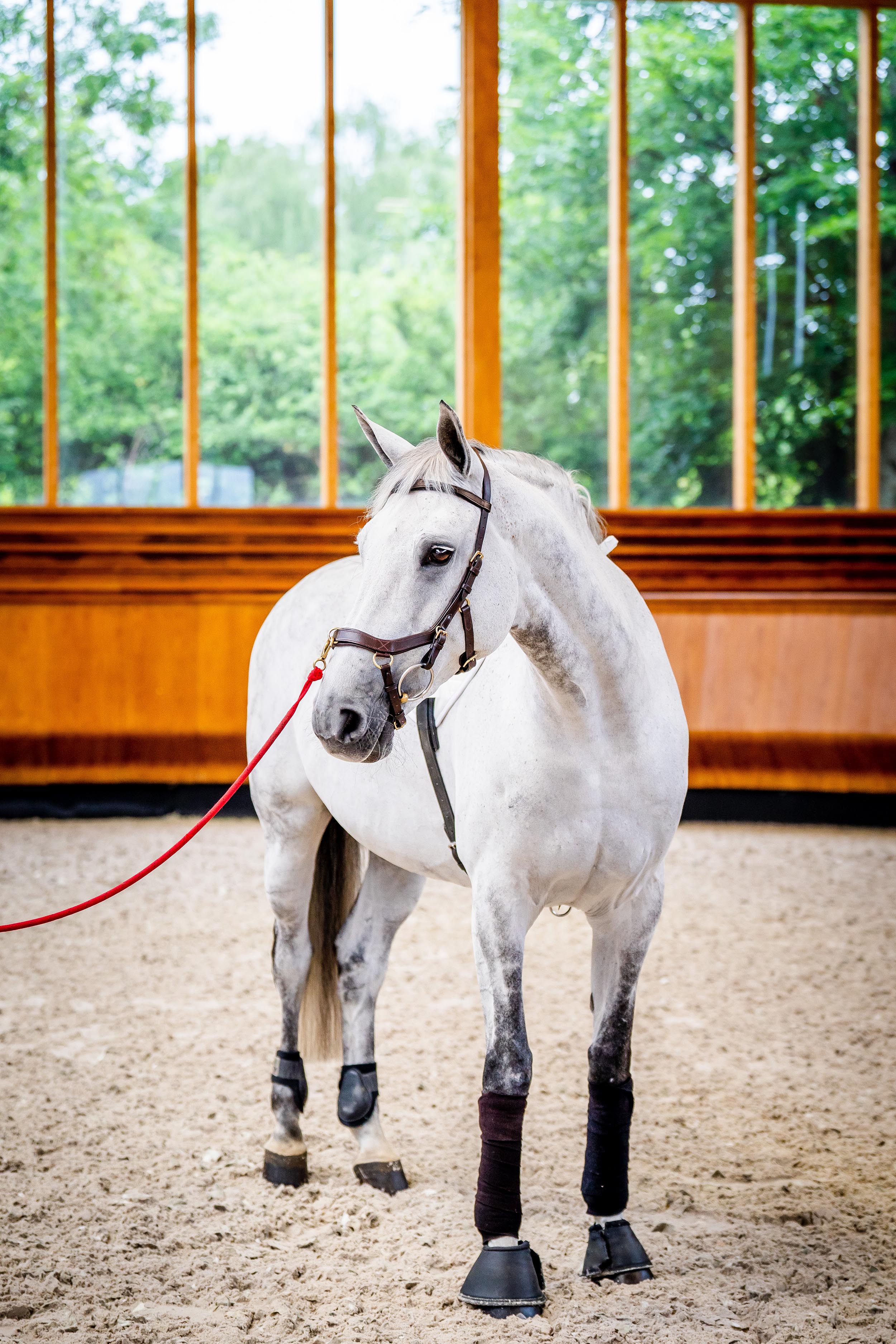 Horseware Micklem Multi Bridle