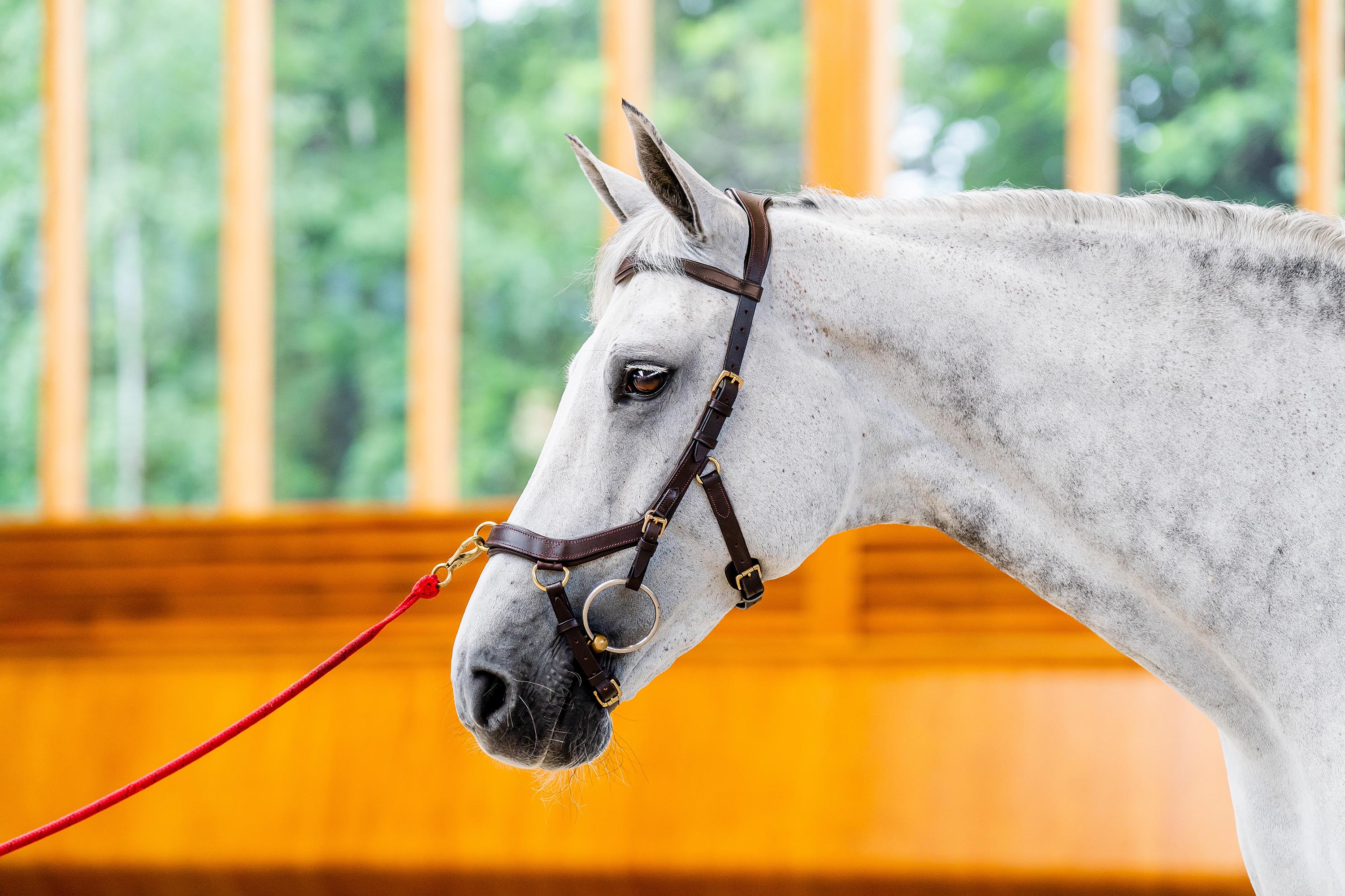 Horseware Micklem Multi Bridle