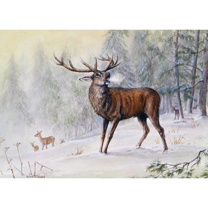 Deer in a snowy forest with a large stag in the foreground