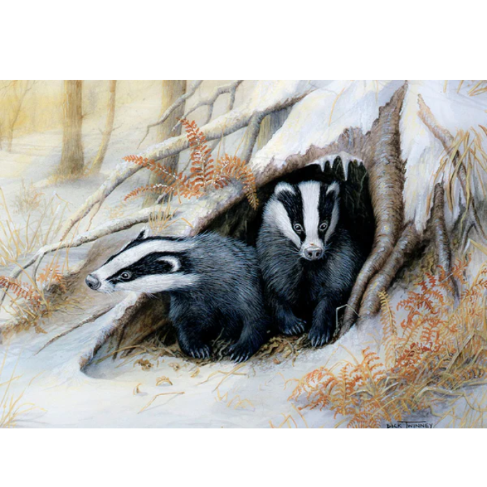 artist picture of badgers outside den in winter 