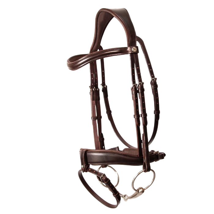 Brown horse bridle on a white background