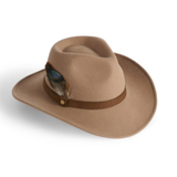 Brown fedora hat with a feather and brown band on a white background