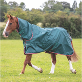 Horse wearing green rug on country side background