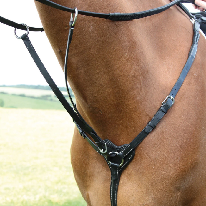 Horse neck showing black straps on faded background