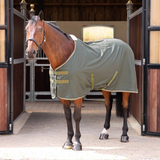 Horse wearing a green rug standing in a stable.
