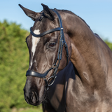 Le Mieux Arika Drop Bridle in Black/Silver
