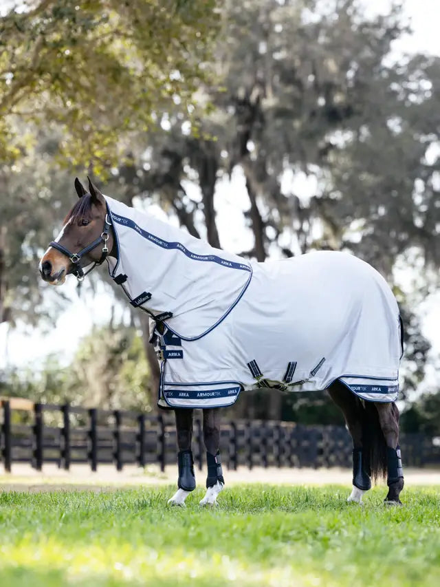 Horse wearing a white LeMieux fly rug with blue trim in an outdoor setting