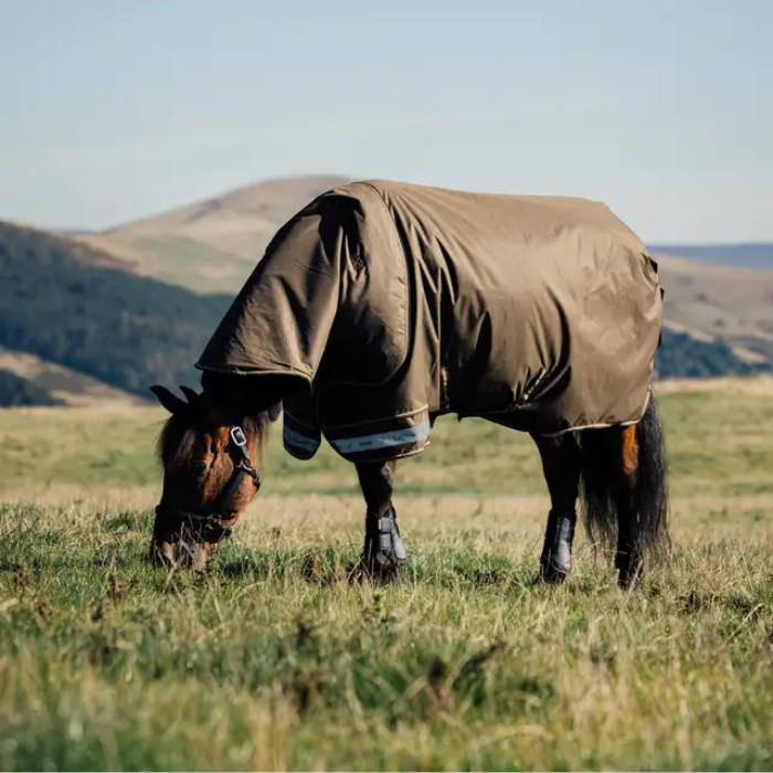 Horse wearing a brown rug grazing in a field with mountains in the background