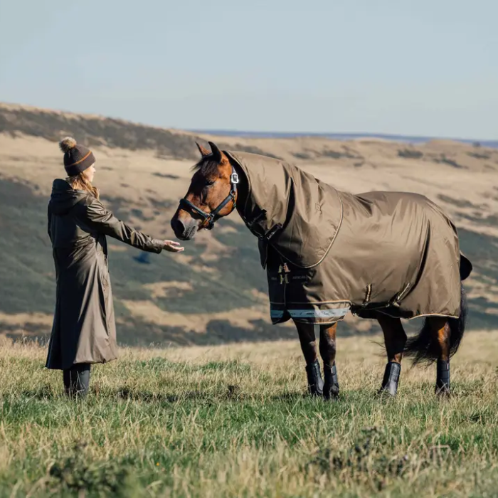 person approaches a horse in a hilly setting