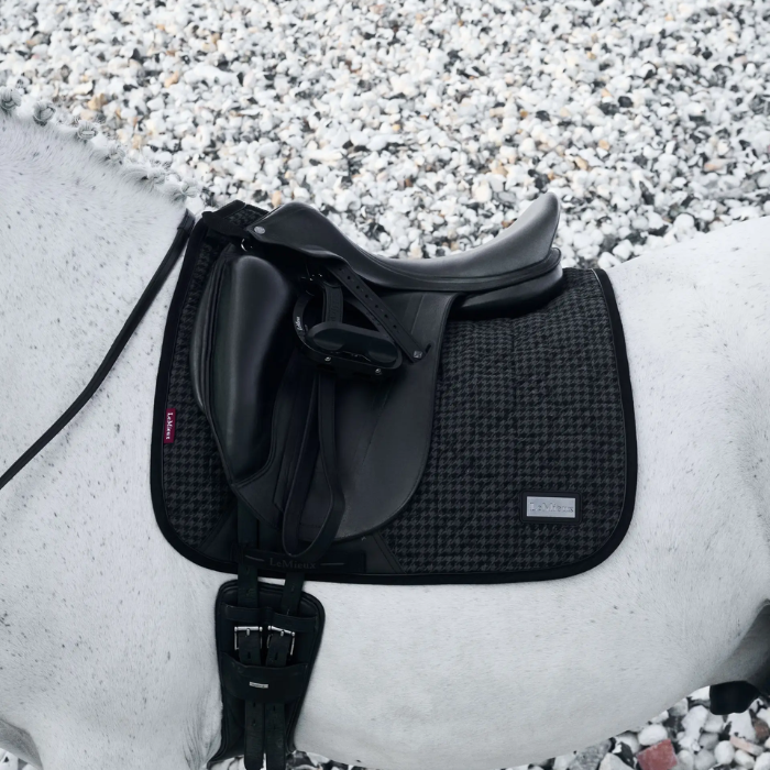 Black saddle on a horse with a gravel background