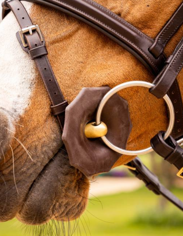 LeMieux Contoured Rubber Bit Guards