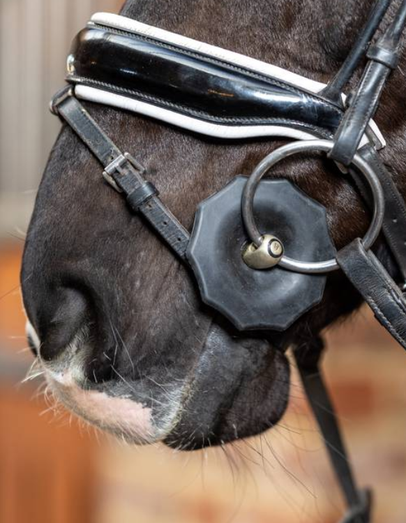 LeMieux Contoured Rubber Bit Guards