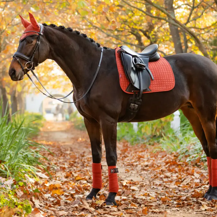LeMieux Dressage Square in Sienna