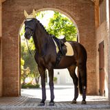 LeMieux Dressage Square in Mimosa