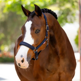 LeMieux Essence Headcollar in Navy | Eland Lodge