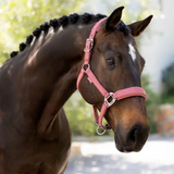 LeMieux Essence Headcollar in Rosewood | Eland Lodge