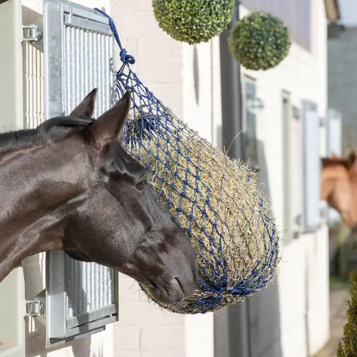 Horse eating from a hay net hanging outside a stable