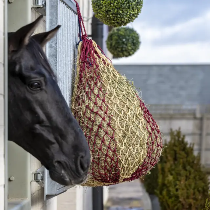 LeMieux Hippo Haynet