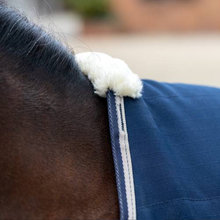 Close-up of a horse wearing a blue rug with white trim.