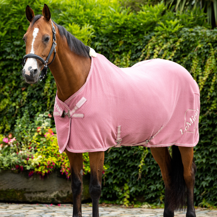 Horse stands wearng the LeMieux Kudos Bamboo Cooler Rug in Peony