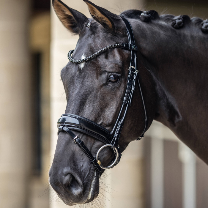 LeMieux Kudos Patent Dressage Bridle
