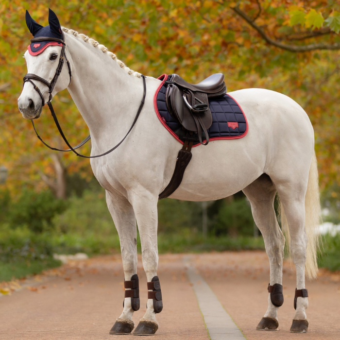 White horse with a saddle and bridle standing on a path with autumn foliage in the background