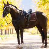 Horse with a saddle and bridle standing on a path with trees in the background