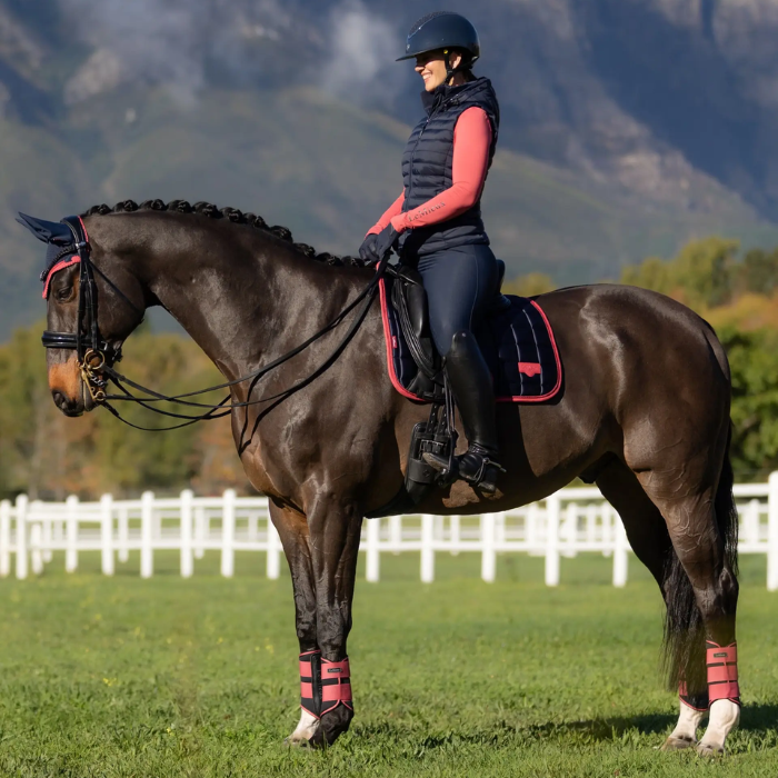 Person riding a horse in an outdoor setting with mountains in the background