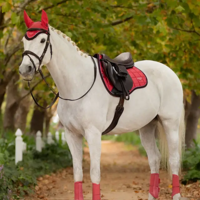 White horse with a cranberry red saddlepad, dark saddle and bridle standing on a path with trees in the background