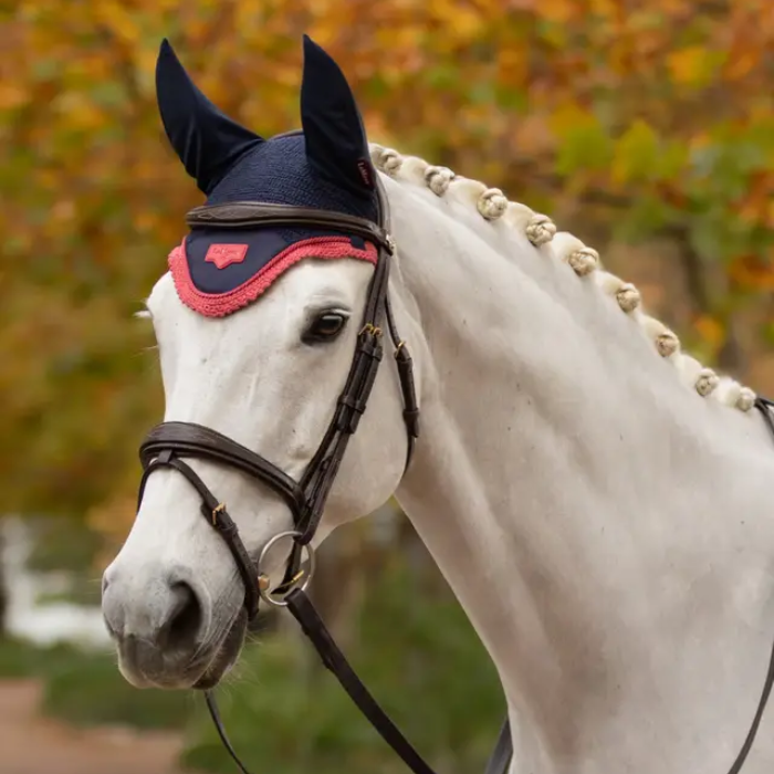 White horse with a brown bridle and navy/red fly hood in an outdoor setting