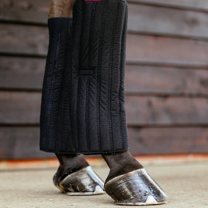 Horse legs wearing black protective LeMieux Memory foam leg bandages against a wooden background