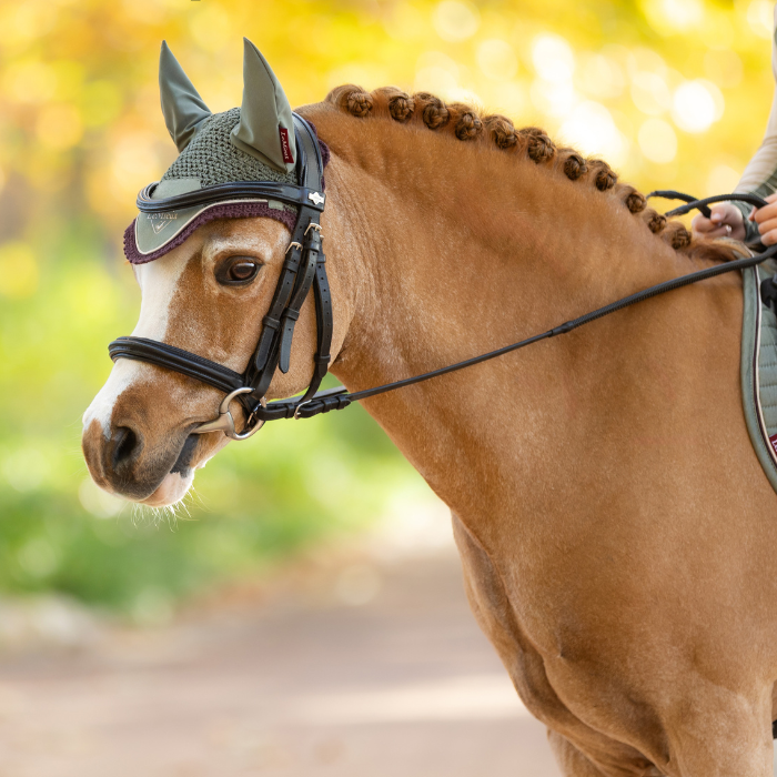 LeMieux Mini Classic Fly Hood - Autumn 2025