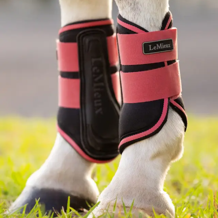 Horse legs wearing red and black LeMieux boots on grass