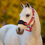 LeMieux Mini Vogue Headcollar & Leadrope - Autumn 2025