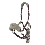 Horse headcollar with green and purple straps on a white background