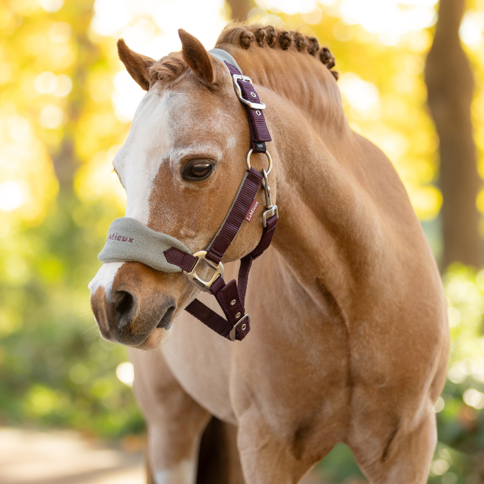 LeMieux Mini Vogue Headcollar & Leadrope - Autumn 2025