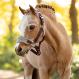 LeMieux Mini Vogue Headcollar & Leadrope - Autumn 2025