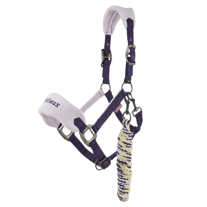 Lilac and purple horse headcollar with a rope lead on a white background