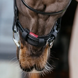 LeMieux Noseband Pad attached to the noseband