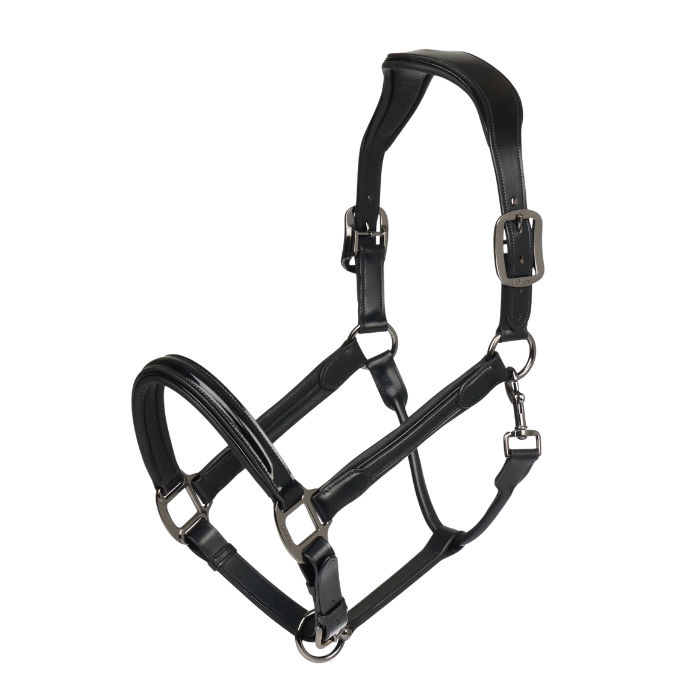 LeMieux Patent Leather Headcollar in Black
